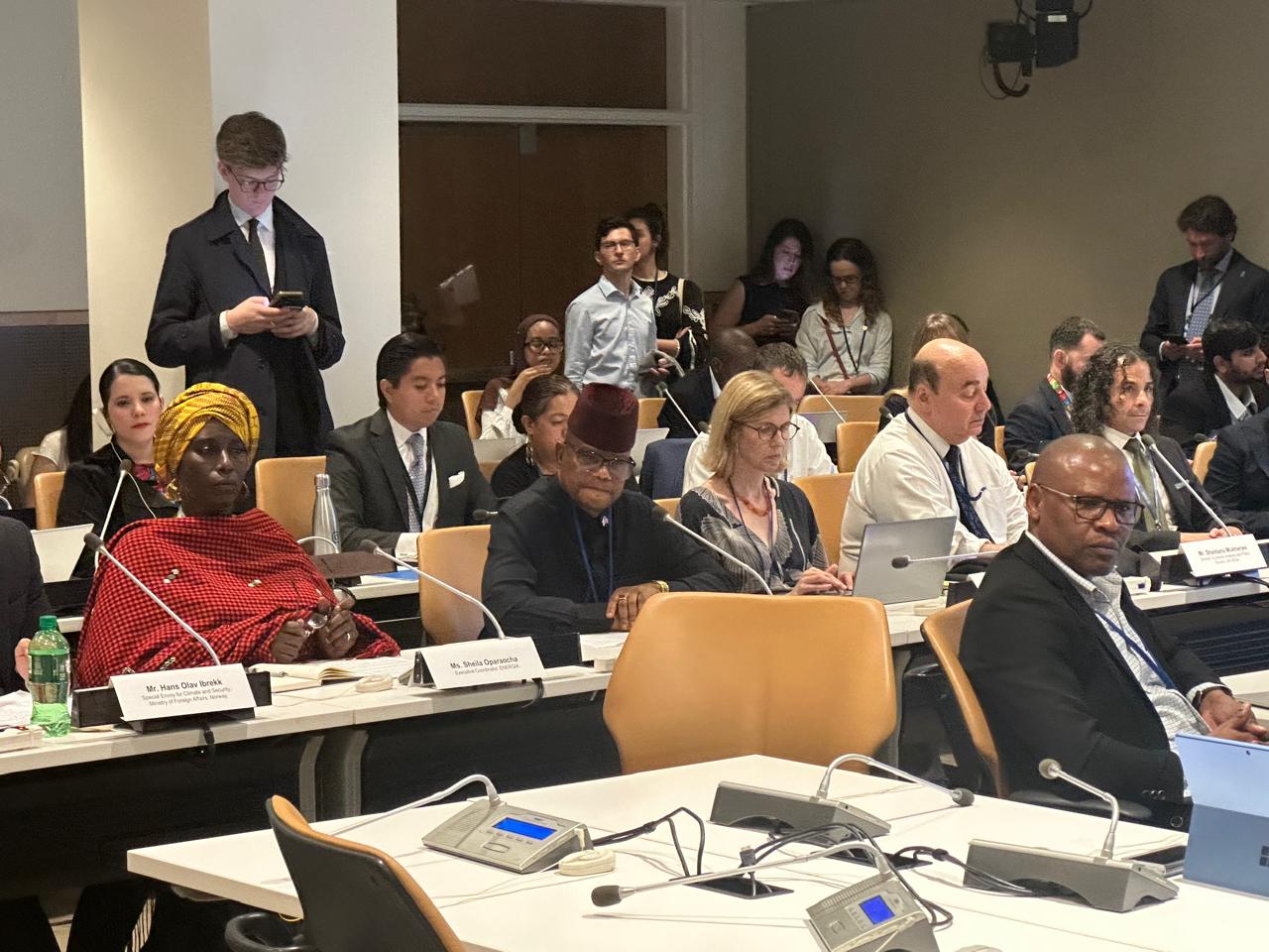 Minister Speech on the SDG7-New York